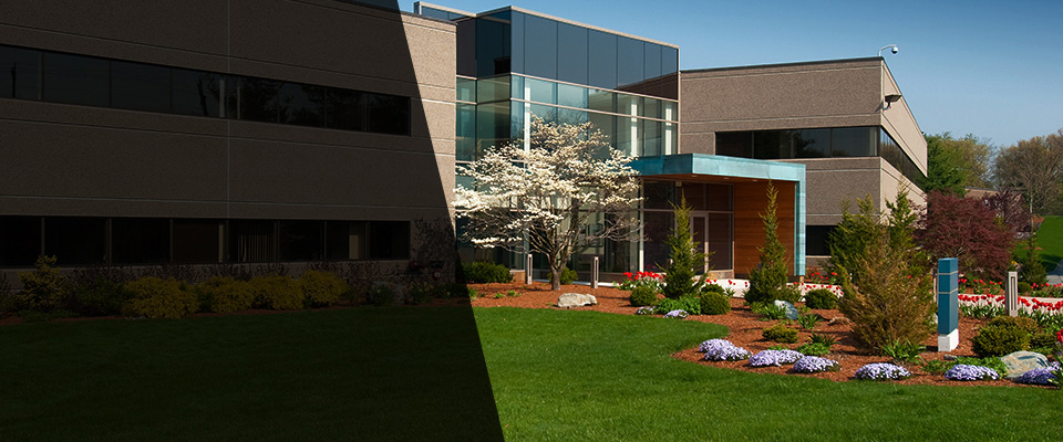 Eureka Landscapers