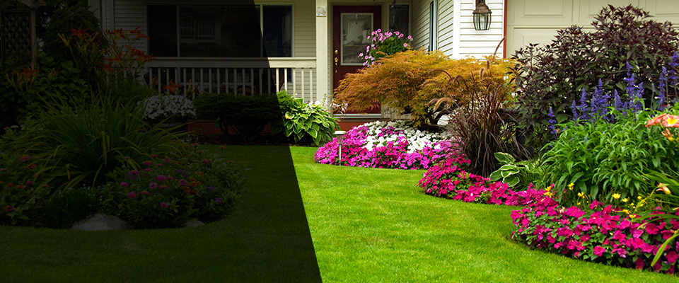Eureka Landscapers