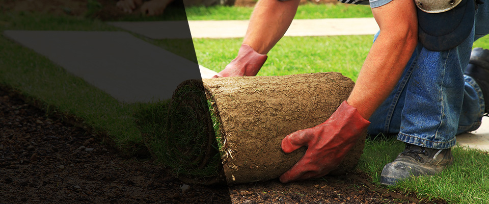 Eureka Landscapers